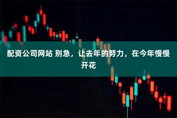 配资公司网站 别急，让去年的努力，在今年慢慢开花