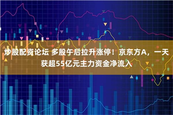 炒股配资论坛 多股午后拉升涨停！京东方A，一天获超55亿元主力资金净流入