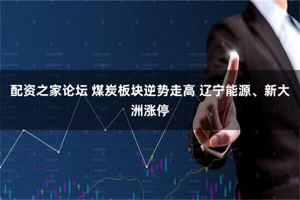 配资之家论坛 煤炭板块逆势走高 辽宁能源、新大洲涨停